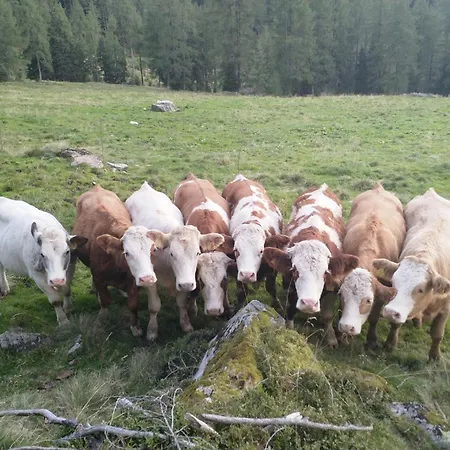 Haufhof-pension Am Bauernhof, Bei Schladming Alojamento de Turismo Rural Haus im Ennstal
