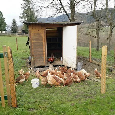 Haufhof-pension Am Bauernhof, Bei Schladming * Haus im Ennstal