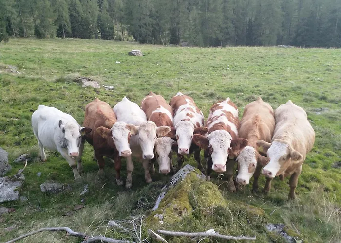Haufhof-pension Am Bauernhof, Bei Schladming Farma Haus im Ennstal